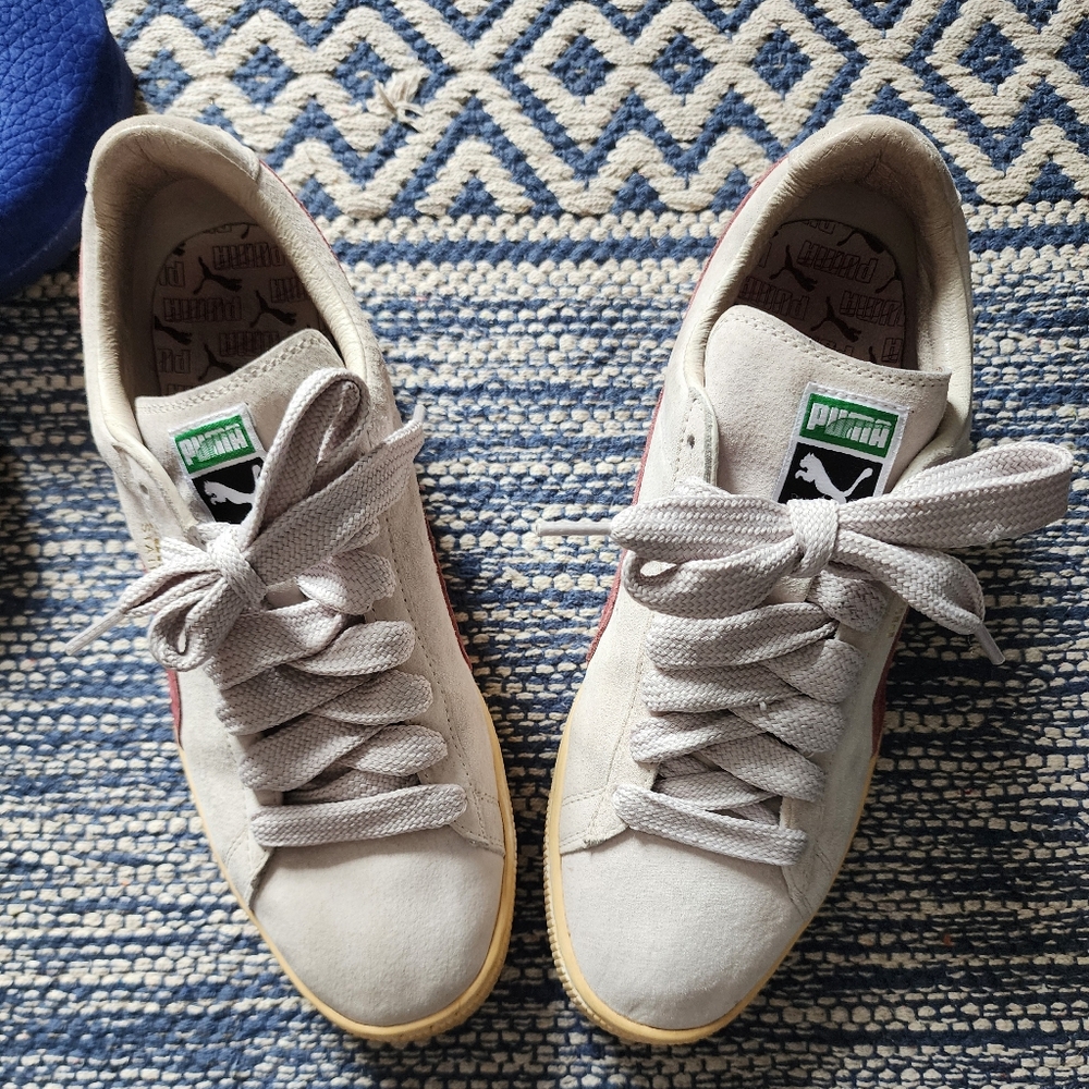 Puma states